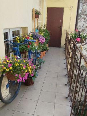 Miodowa Apartment Krakow Dış mekan fotoğraf